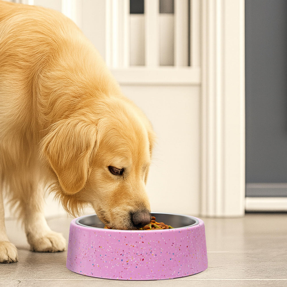 bzyoo bowl accommodates dry, wet foods and water for versatile feeding
