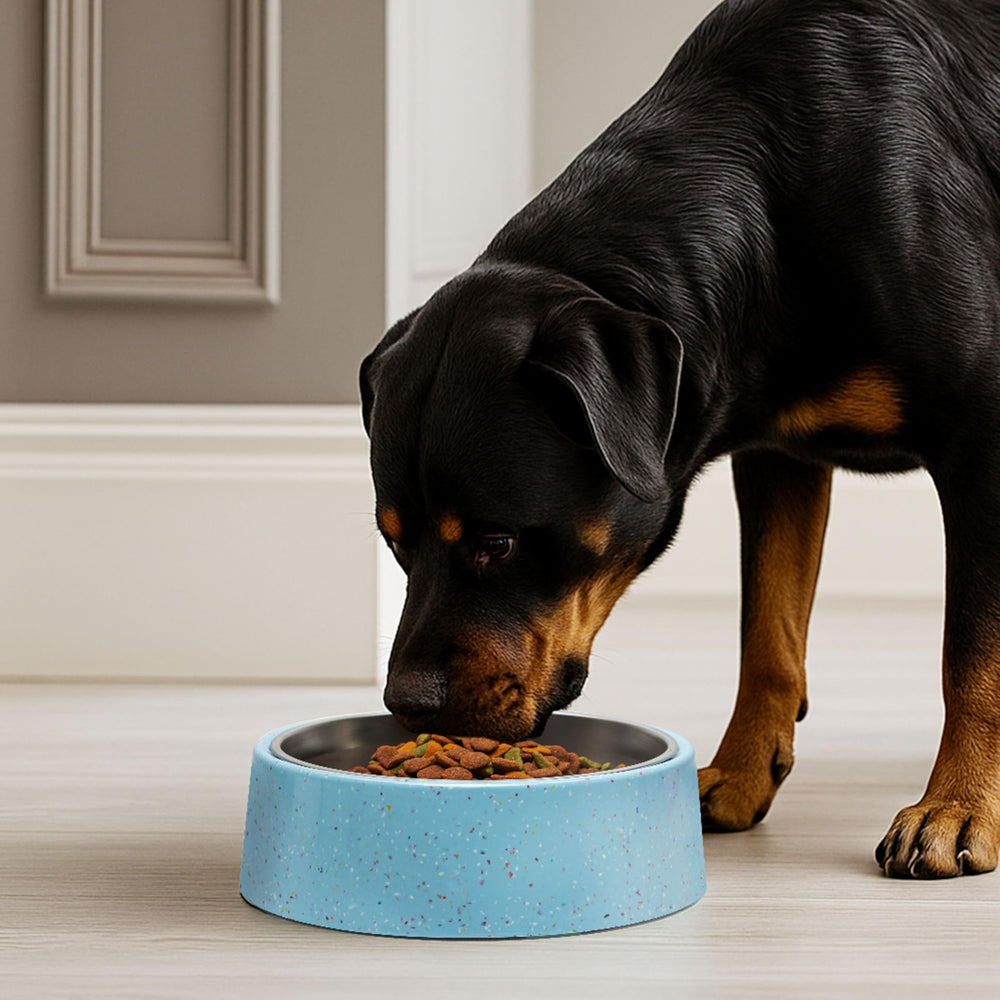 The bzyoo non-slip silicone base blue helps keep bowls steady.