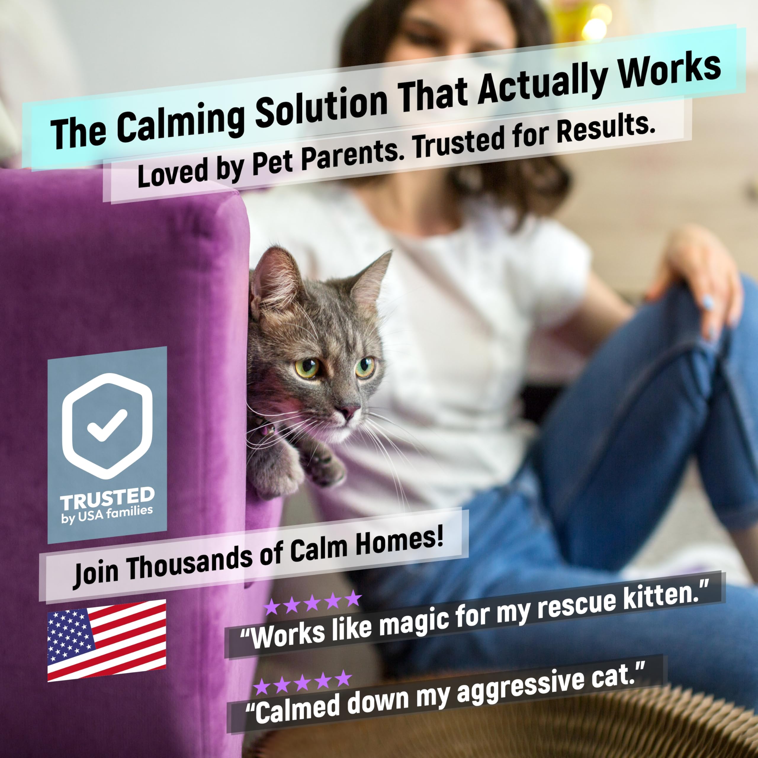 Cabins cat calming diffuser neutral design blending with home décor