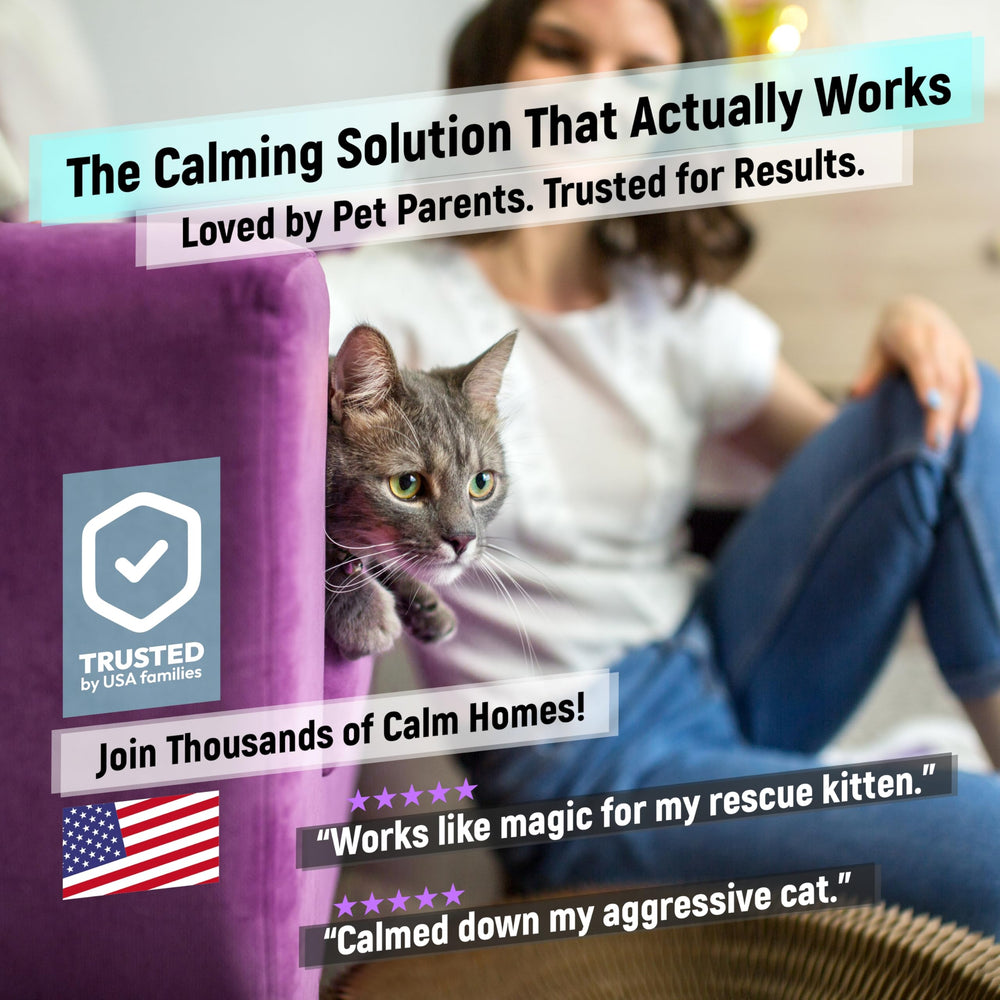 Cabins cat calming diffuser neutral design blending with home décor