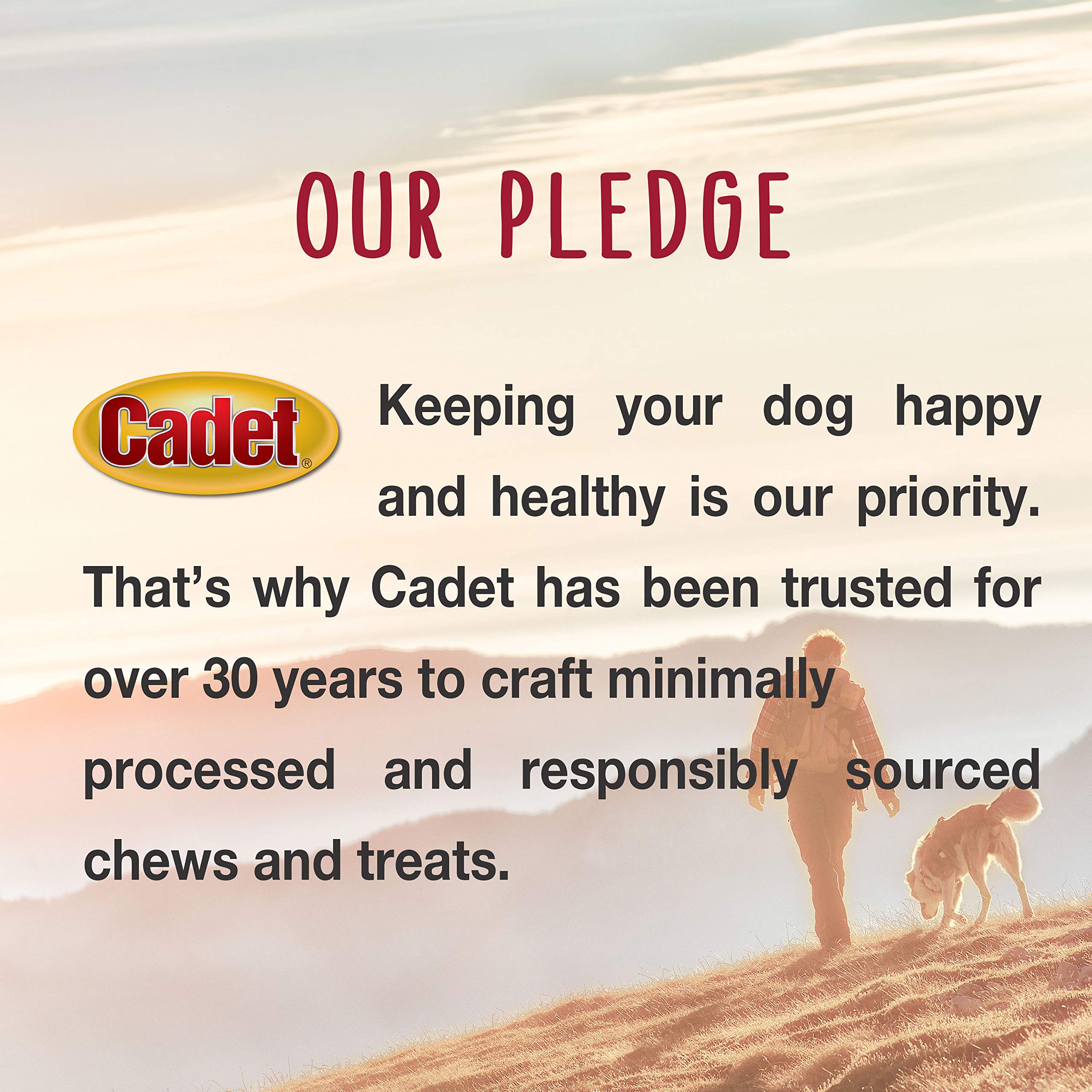 Cadet 5-inch rawhide chew for dogs supports engaging chewing
