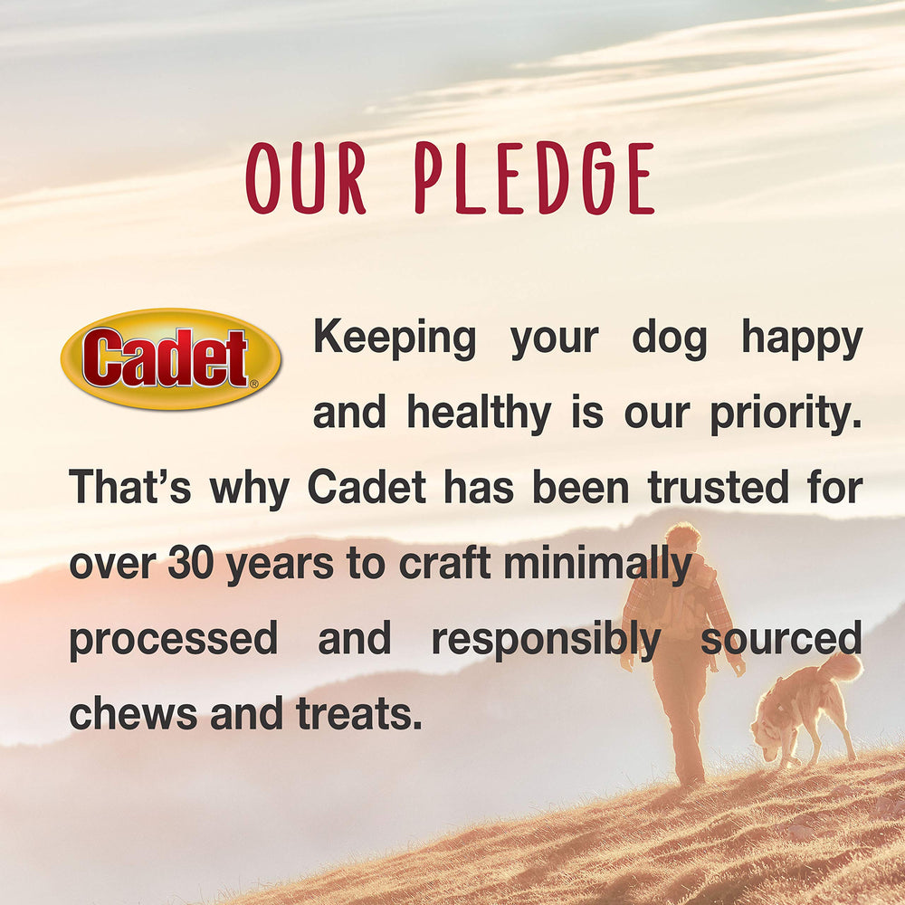 Cadet 5-inch rawhide chew for dogs supports engaging chewing
