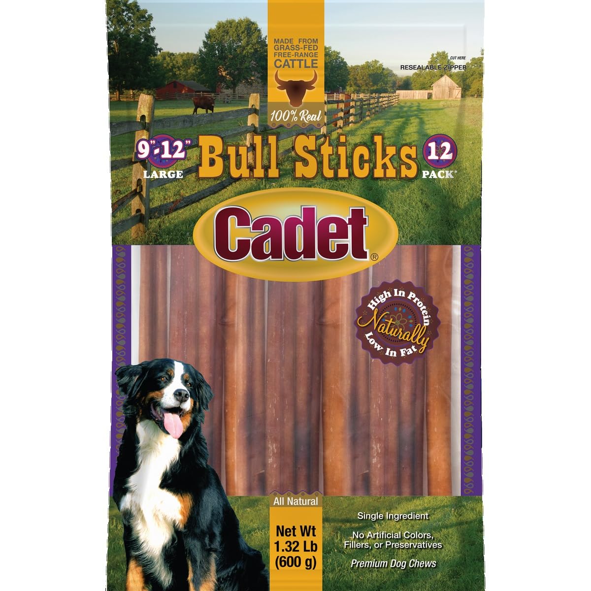 Cadet Bull Sticks dog enjoying chew during training reward session.