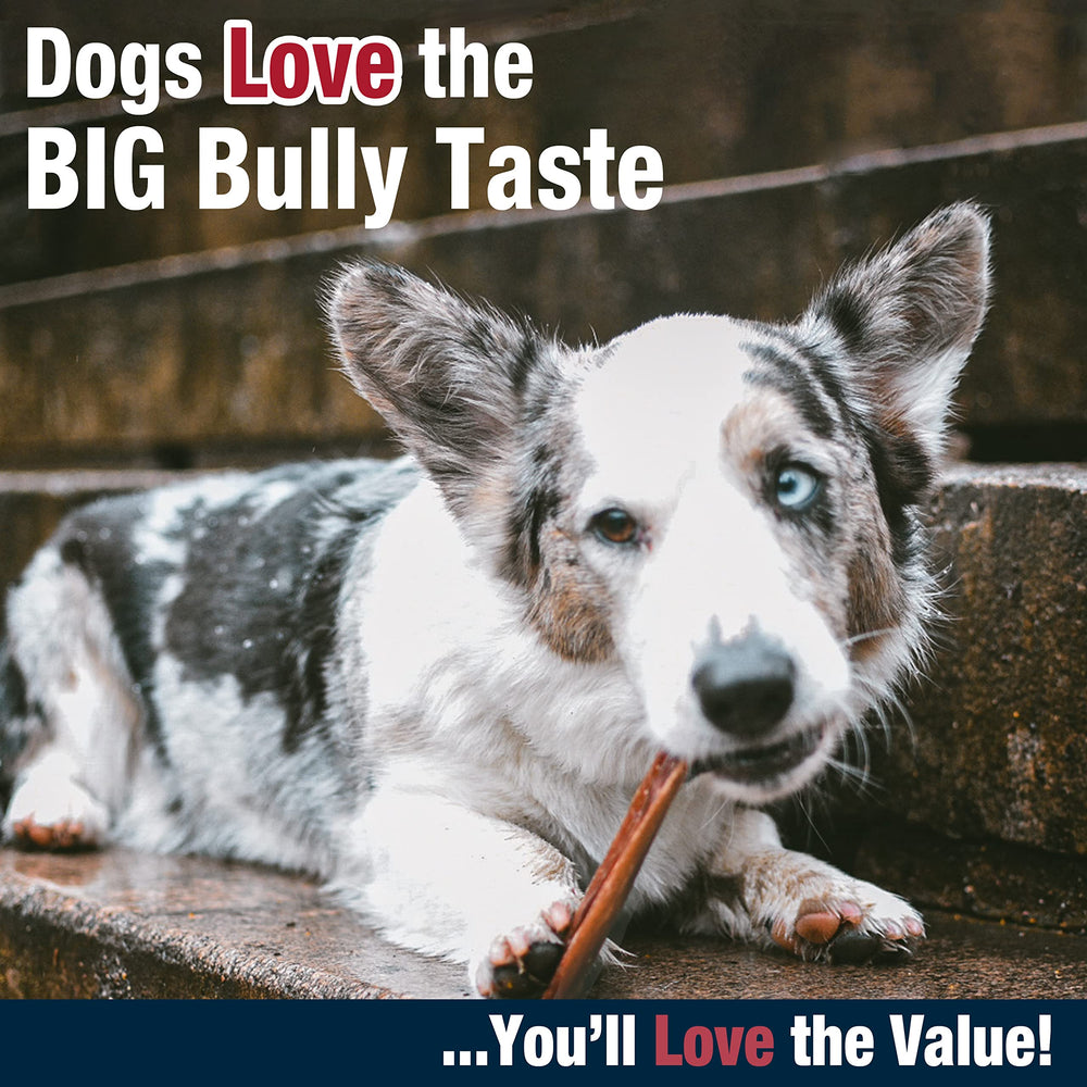 Cadet Bully Hide Sticks single-origin beef from grass-fed cattle label emphasizes transparent sourcing.