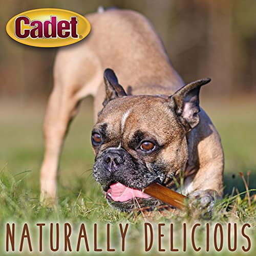 Cadet Bully Sticks high-protein, low-fat snack.