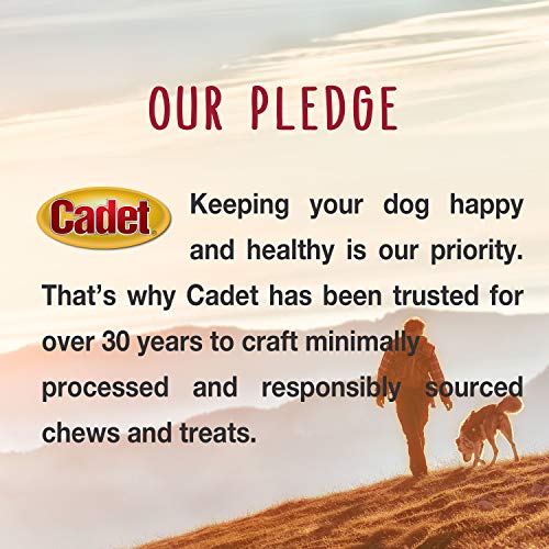 Cadet Bully Sticks small-dogs-reward-time image highlights treat-friendly moments