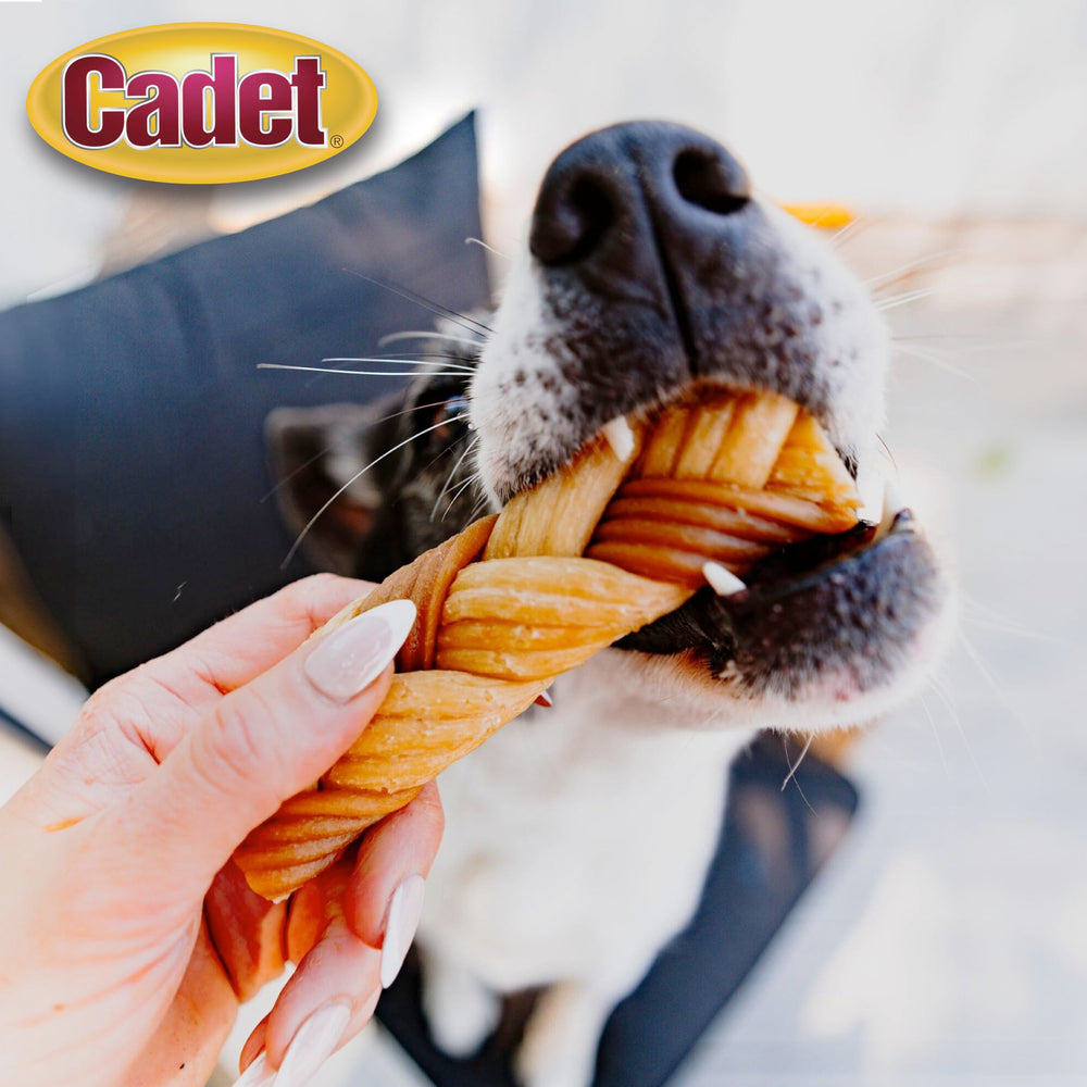 Cadet Chewalicious braided chew assembly highlights multi-textured design.