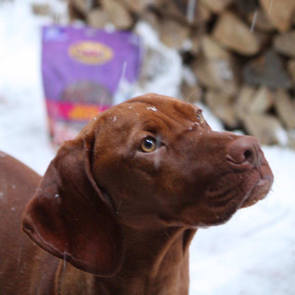 Cadet Gourmet duck-breast jerky 28oz training reward for well-behaved dogs