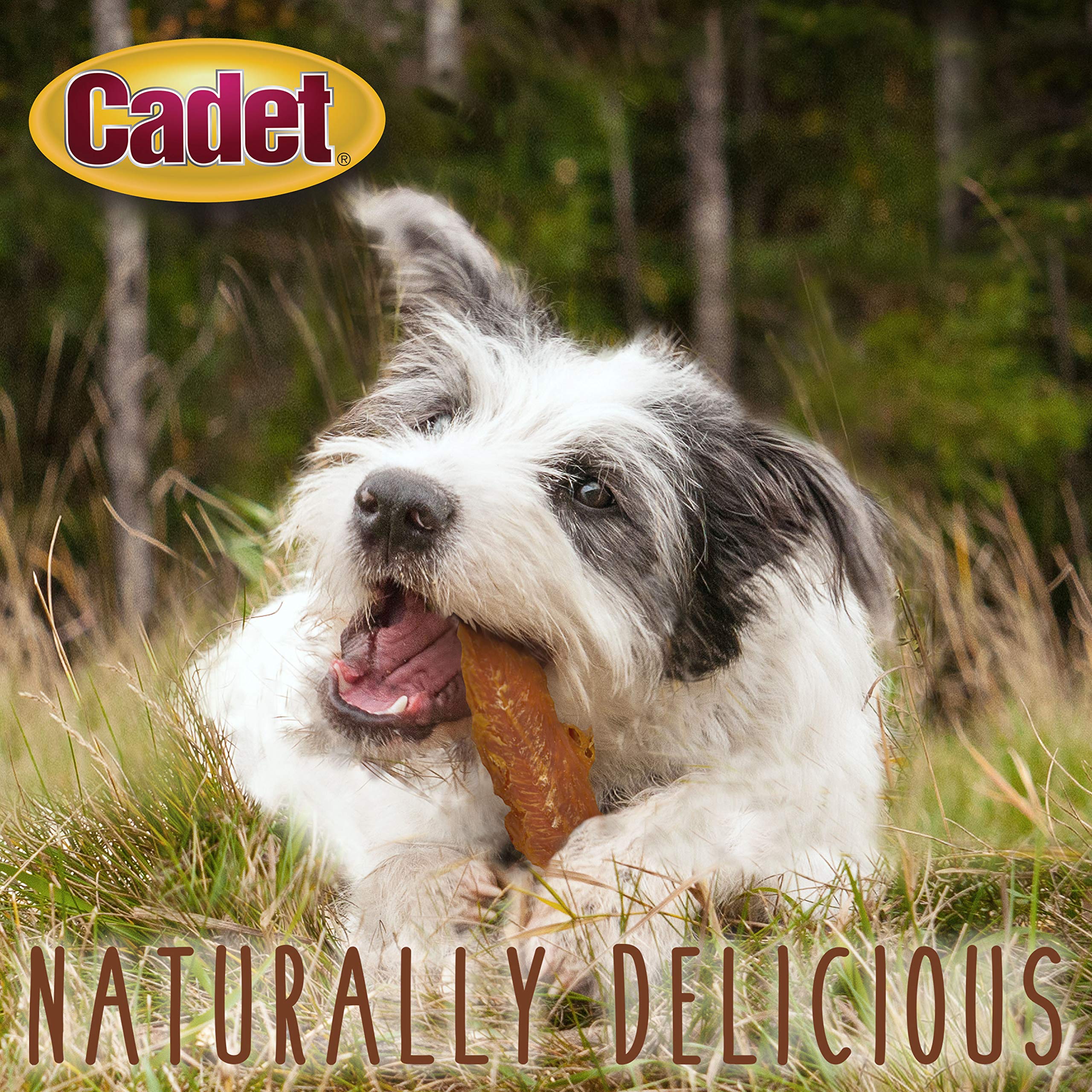 Cadet Gourmet pechuga de pollo horneada, snack bajo en grasa para entrenamientos.