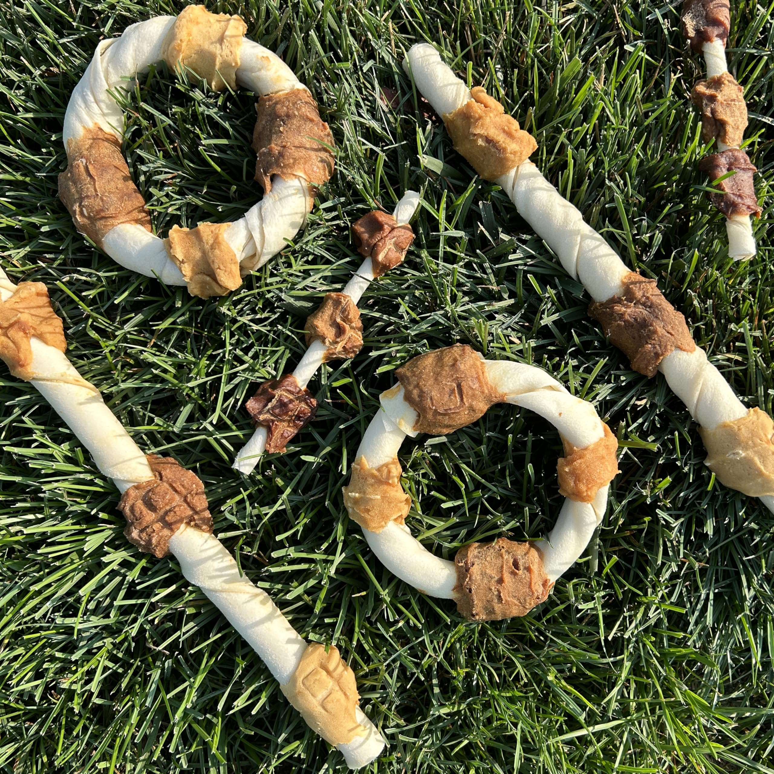 Cadet Gourmet Shish Kabob highlights dental-friendly chew while your dog bites.