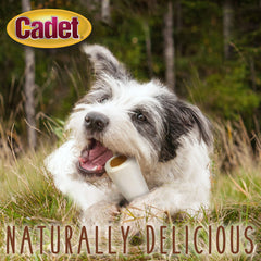 Cadet Junior stuffed shin bones support dental health through chewing action