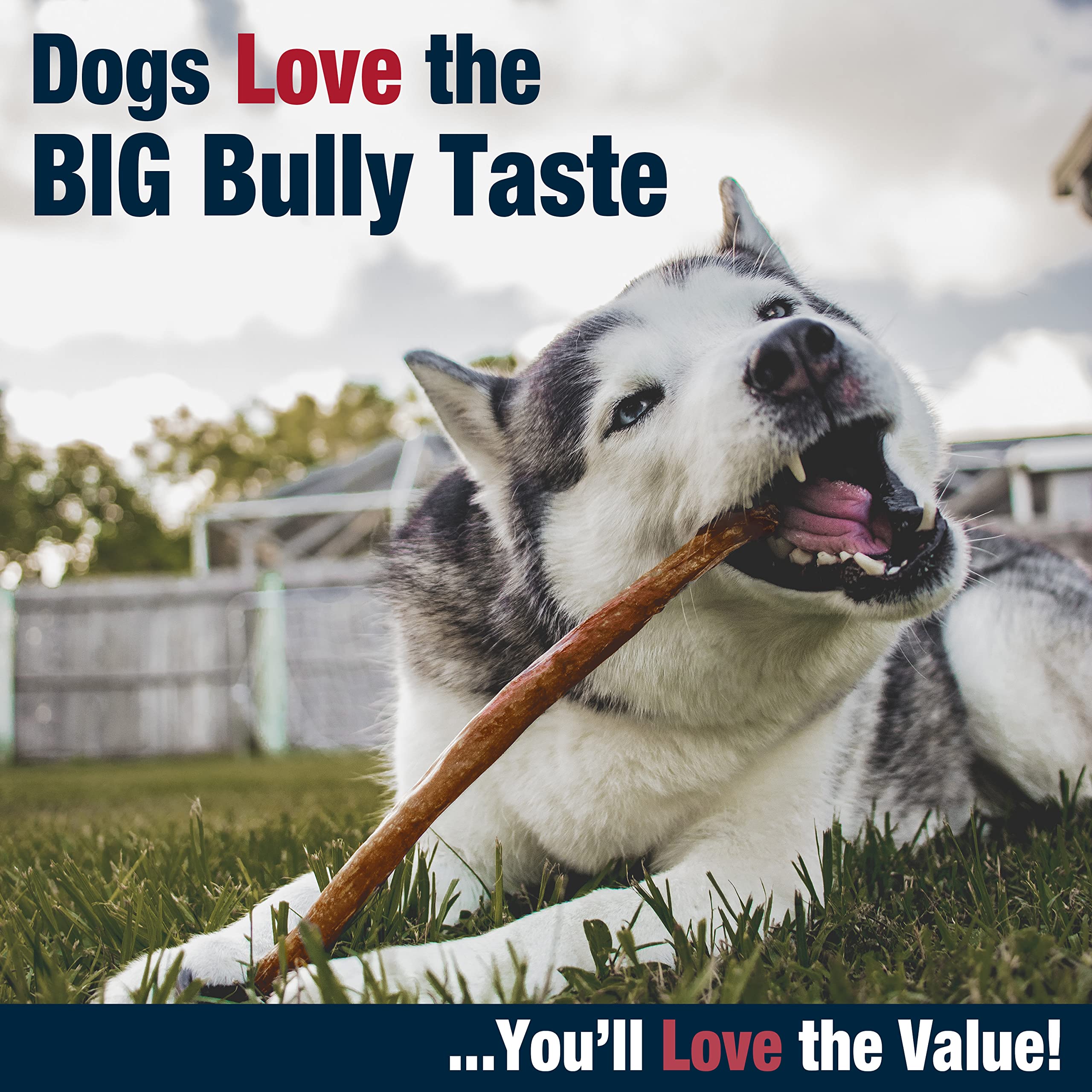 Cadet Natural Dog Chews USA inspected shows manufacturing pride and safety