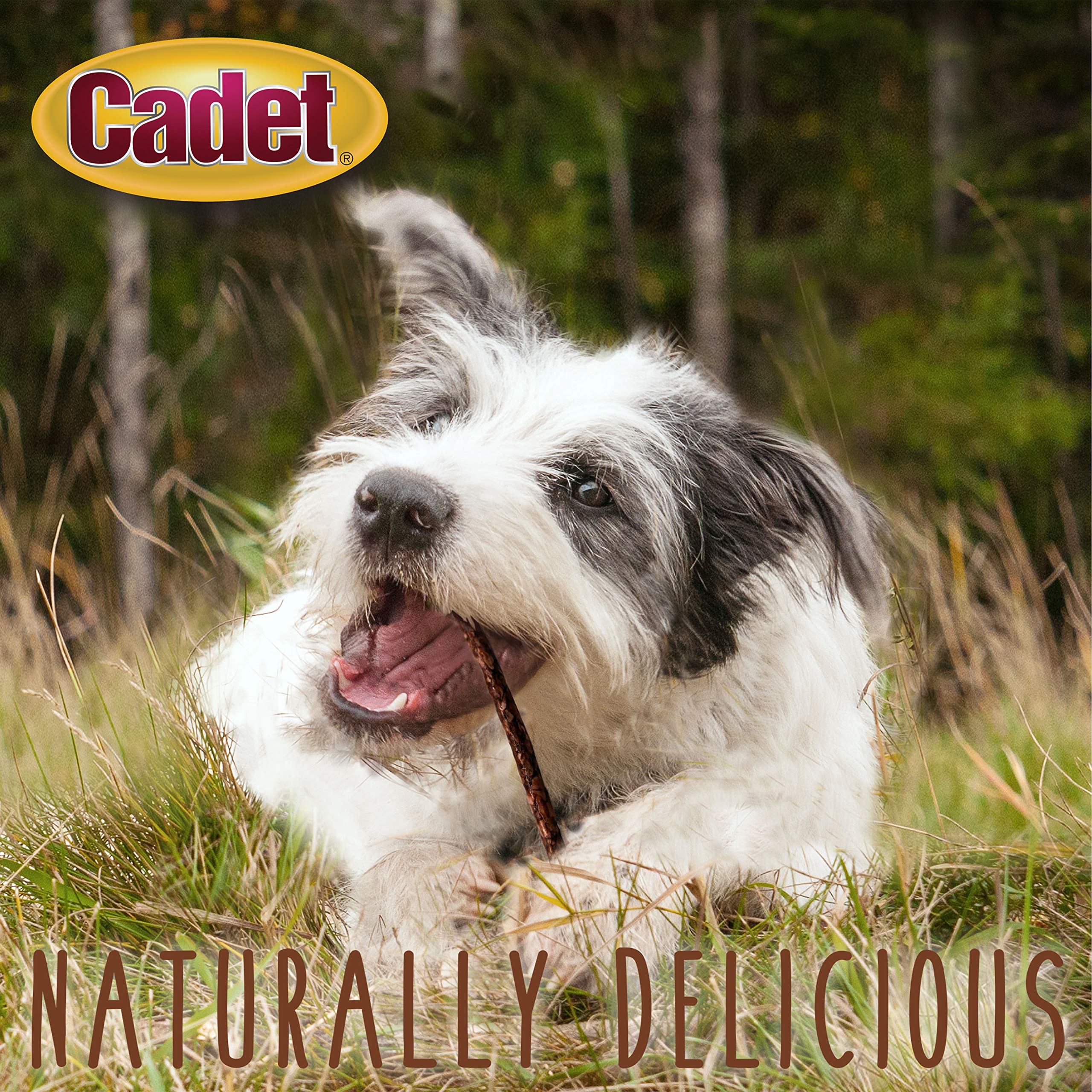 Cadet premium beef hide image emphasizes quality sourcing