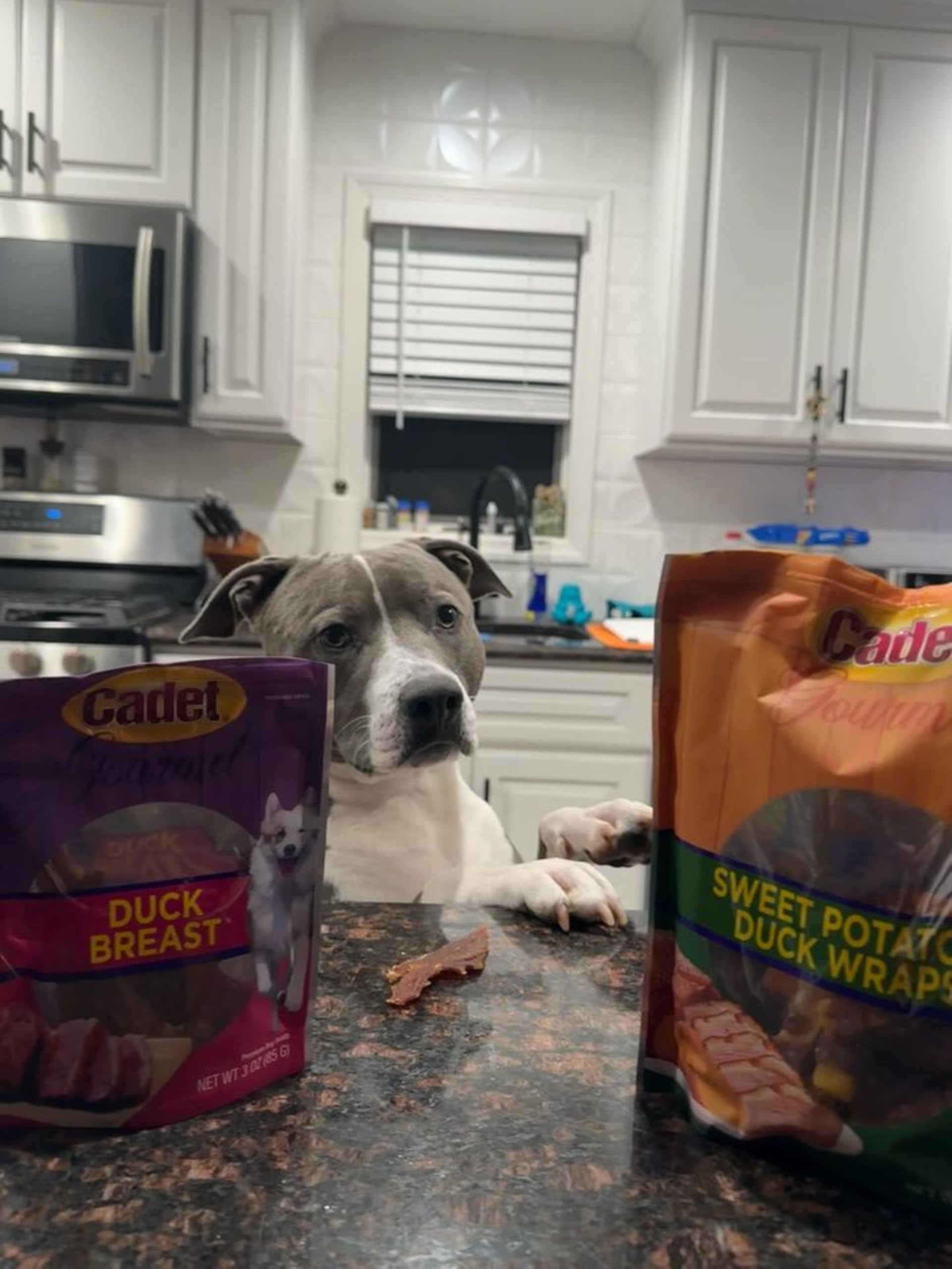 Cadet Sweet Potato Duck Wraps training treat ready for reward moments