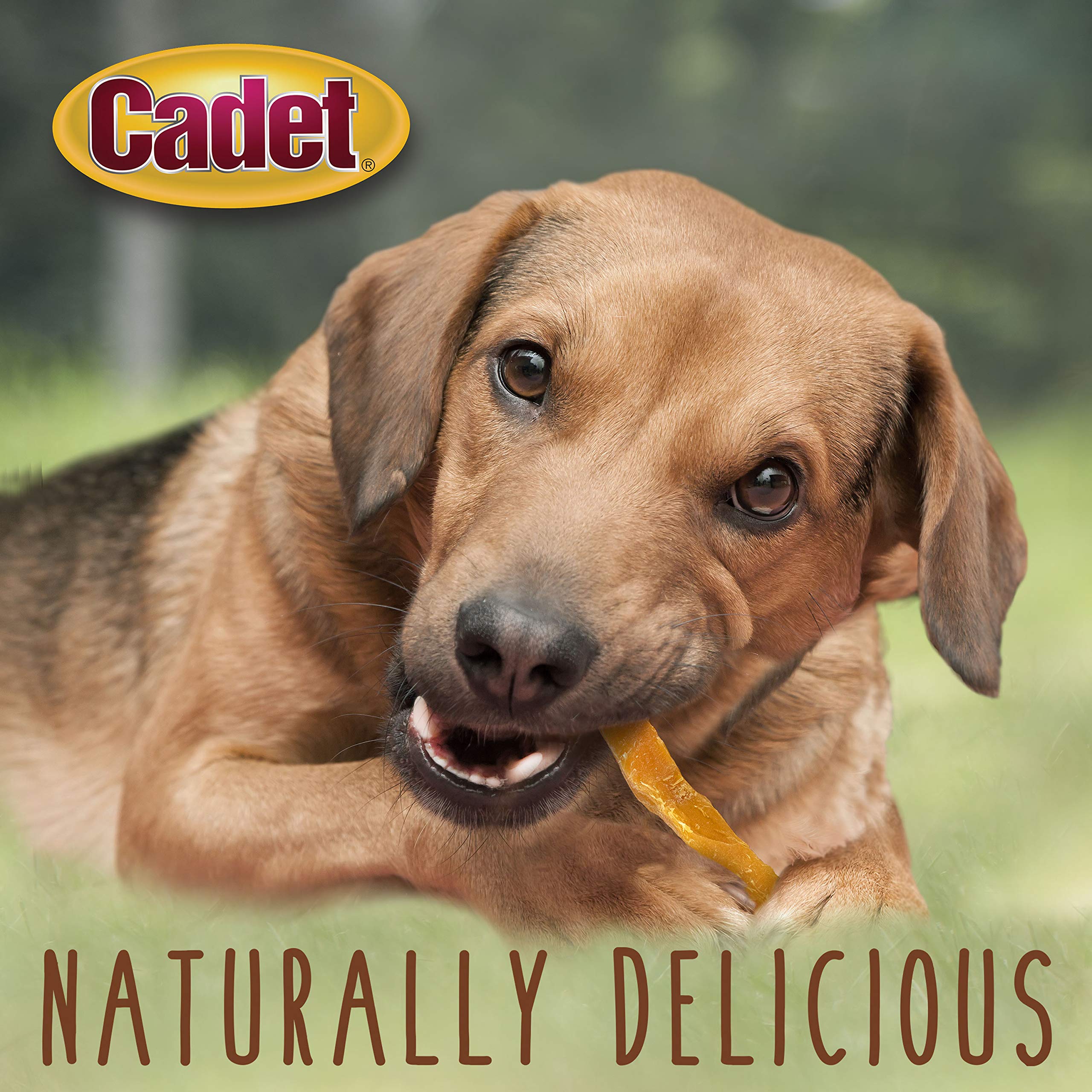 Cadet Sweet Potato Fries training reward—reward good behavior during training sessions.
