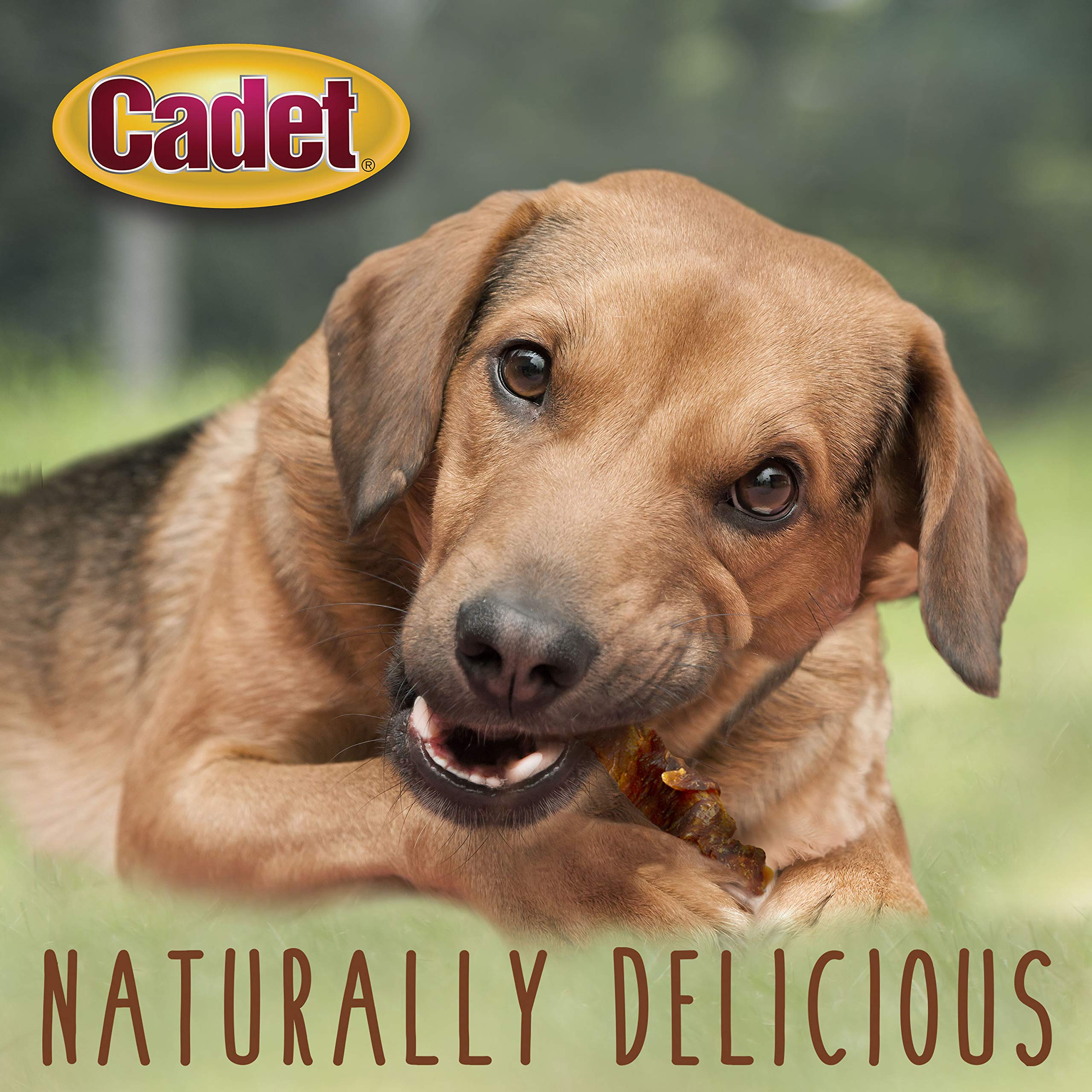 Cadet Sweet Potato Wraps texture detail highlighting chewy, rewarding bite.