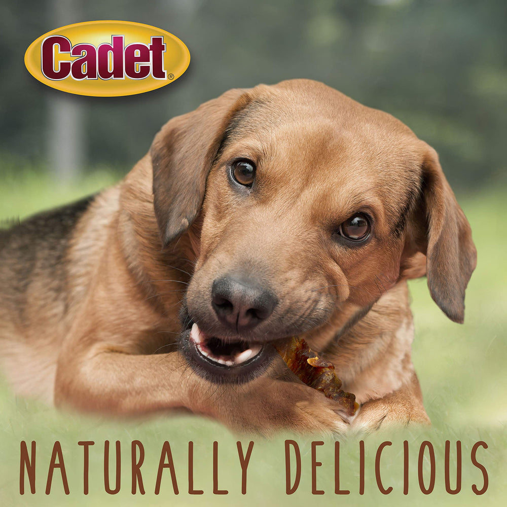 Cadet Sweet Potato Wraps texture detail highlighting chewy, rewarding bite.