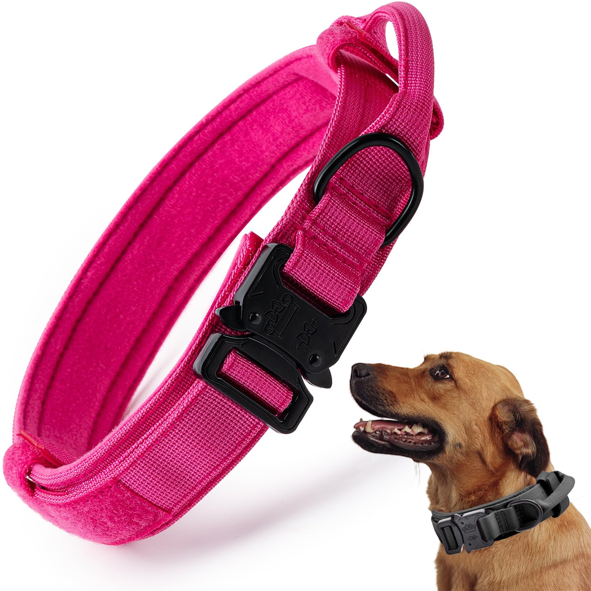 CADONO Tactical Dog Collar pink control handle demonstrates secure training support during walks.