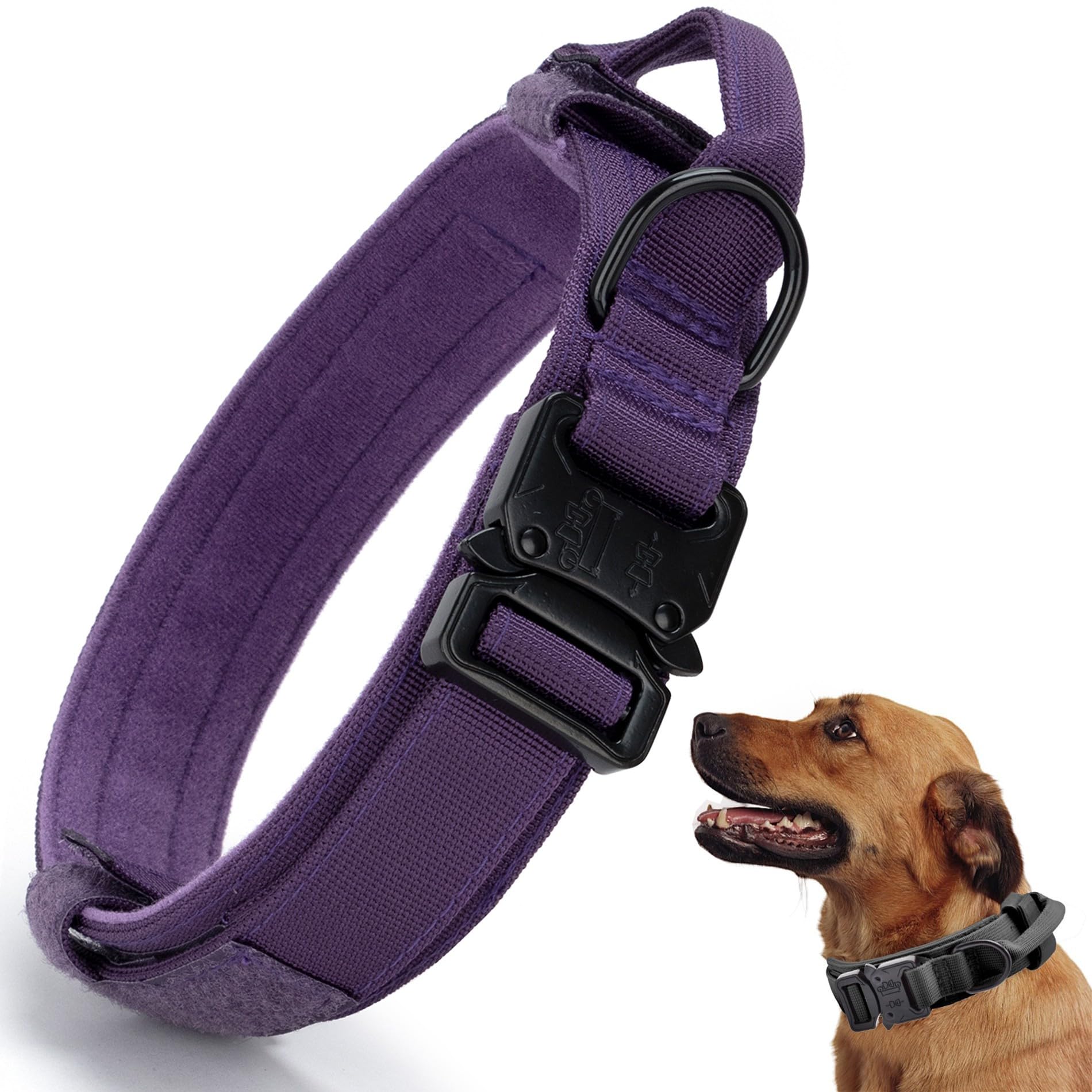 CADONO Tactical Dog Collar purple closeup on buckle showing durable metal hardware for daily wear