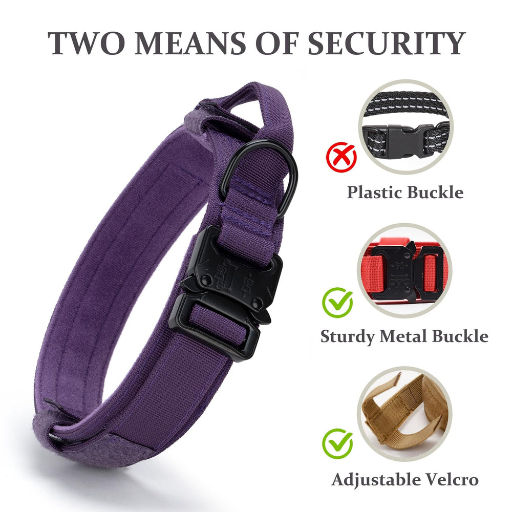 CADONO quick-release buckle on purple collar ready for quick on/off