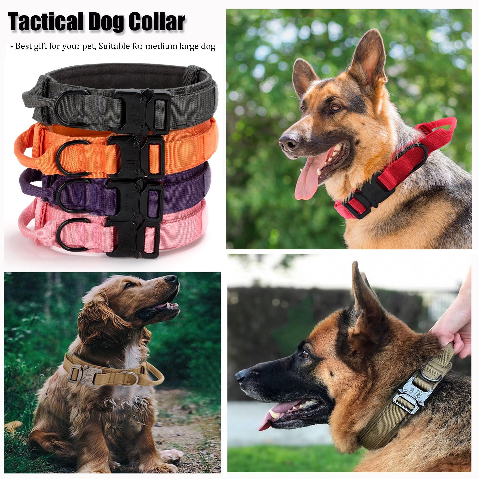 CADONO dog tag and leash loop on collar for easy accessorizing