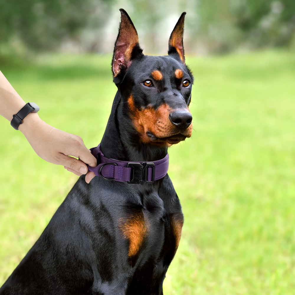 CADONO Tactical Dog Collar tags loop shown for attaching IDs and accessories
