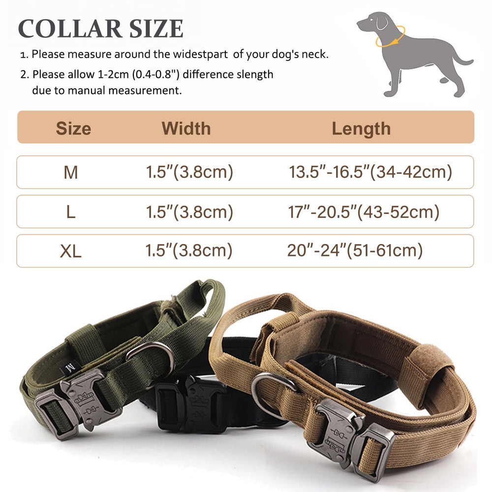 CADONO Tag Loop on Collar providing space for ID and leash