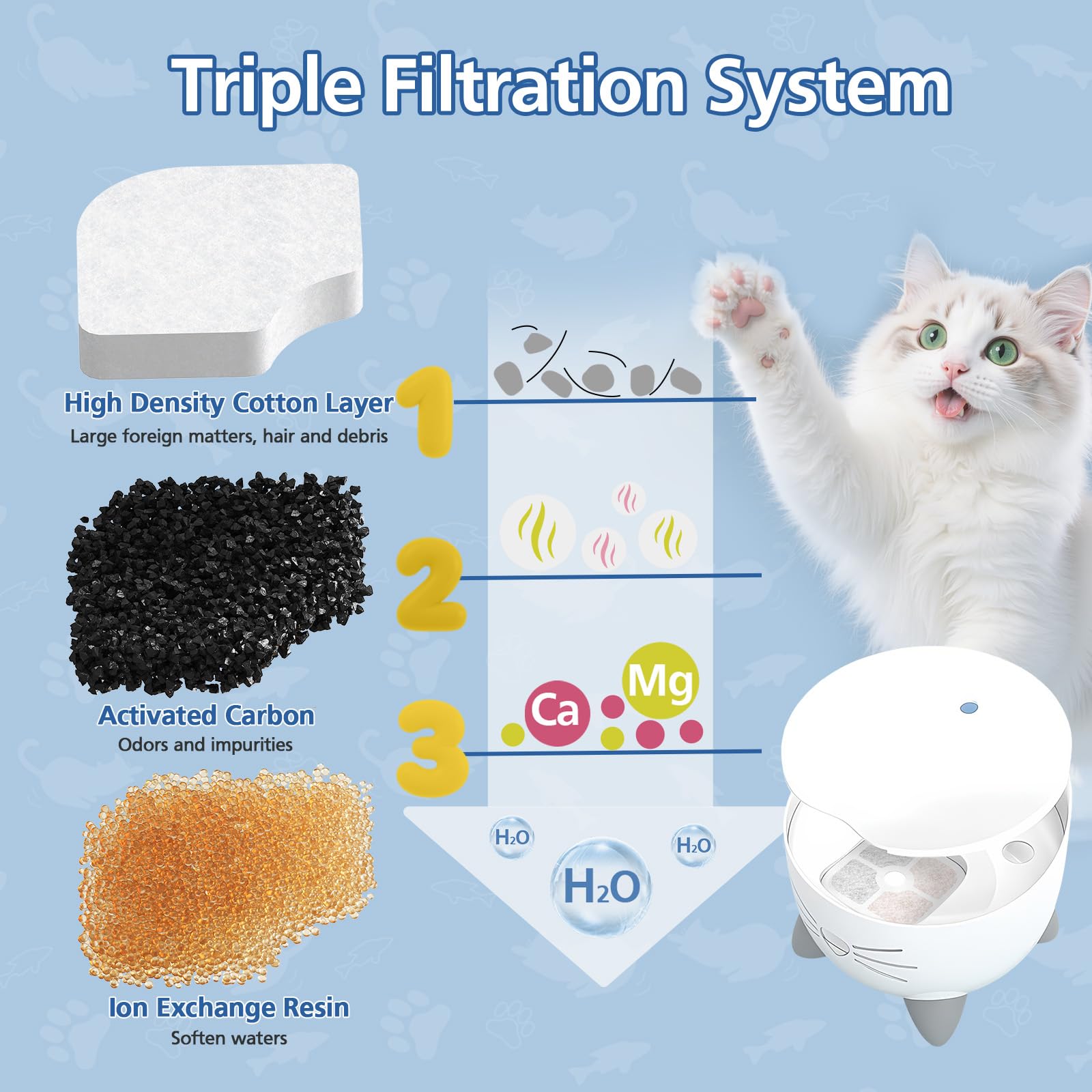 Caehomly filtered water visual showing clarity and reduced mineral buildup.