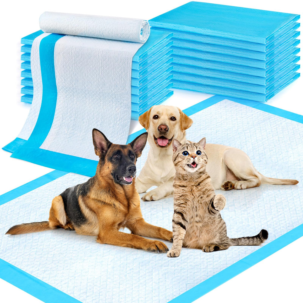 CAHUDIKIC Puppy Pads 36x51 package shot for large-area training and home use