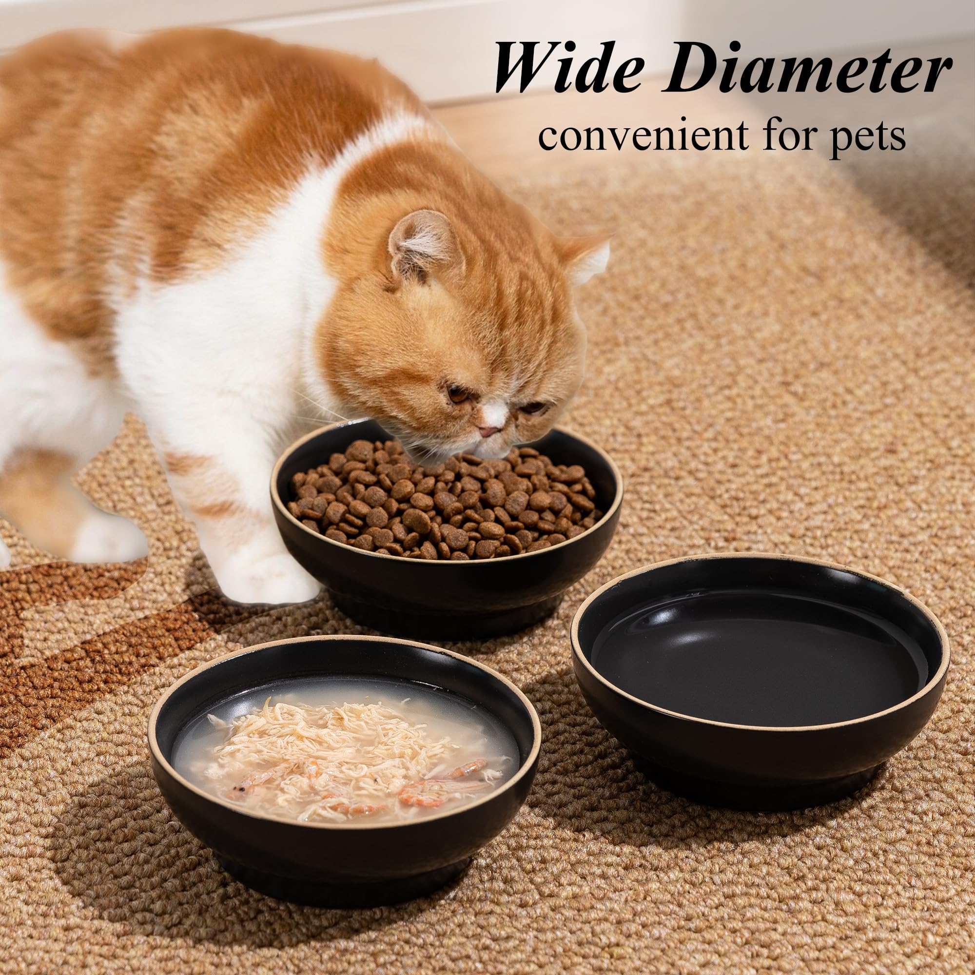 Caigmo cat bowls 3-pack outdoor-ready; durable ceramic for indoor/outdoor use.