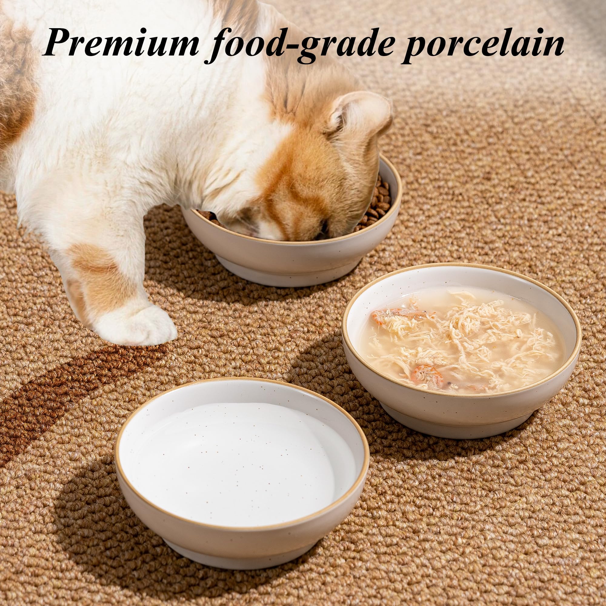 Caigmo 5-inch diameter bowls; whisker-friendly design reduces crowding.