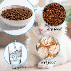 Caigmo 3-pack bowls top-down view; easy-to-clean glaze promotes practicality.
