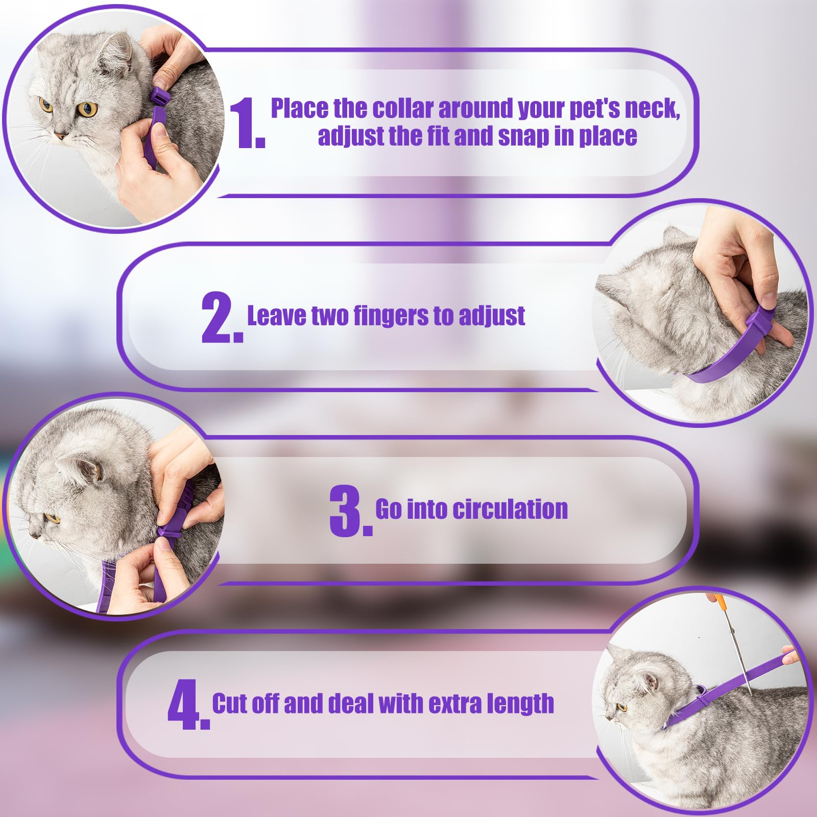 cailenifdc adjustable collar-fit on cat neck demonstrates snug, comfortable wear.