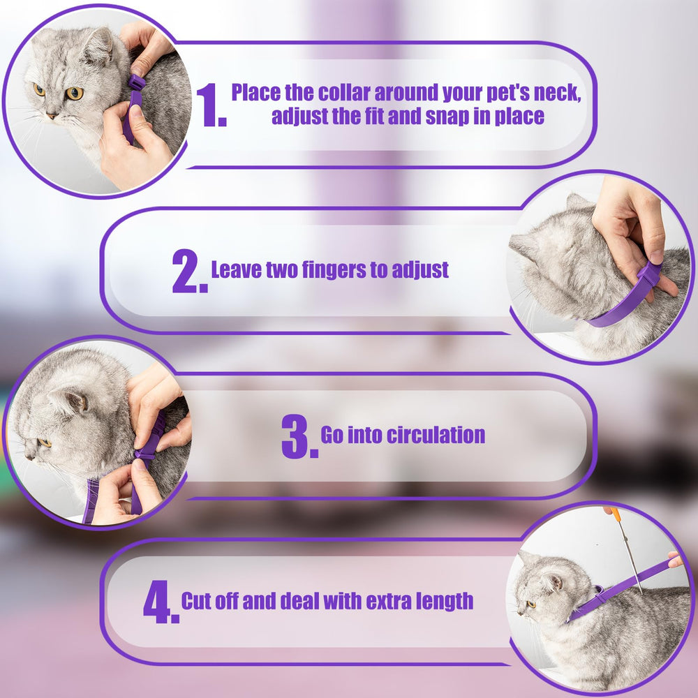 cailenifdc adjustable collar-fit on cat neck demonstrates snug, comfortable wear.