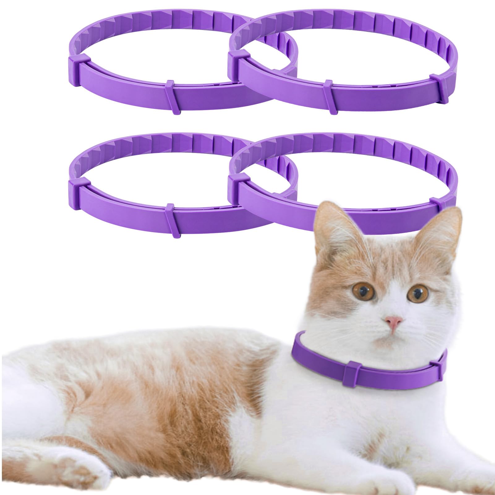 cailenifdc collar on cat sleeping promotes calm and restful behavior.