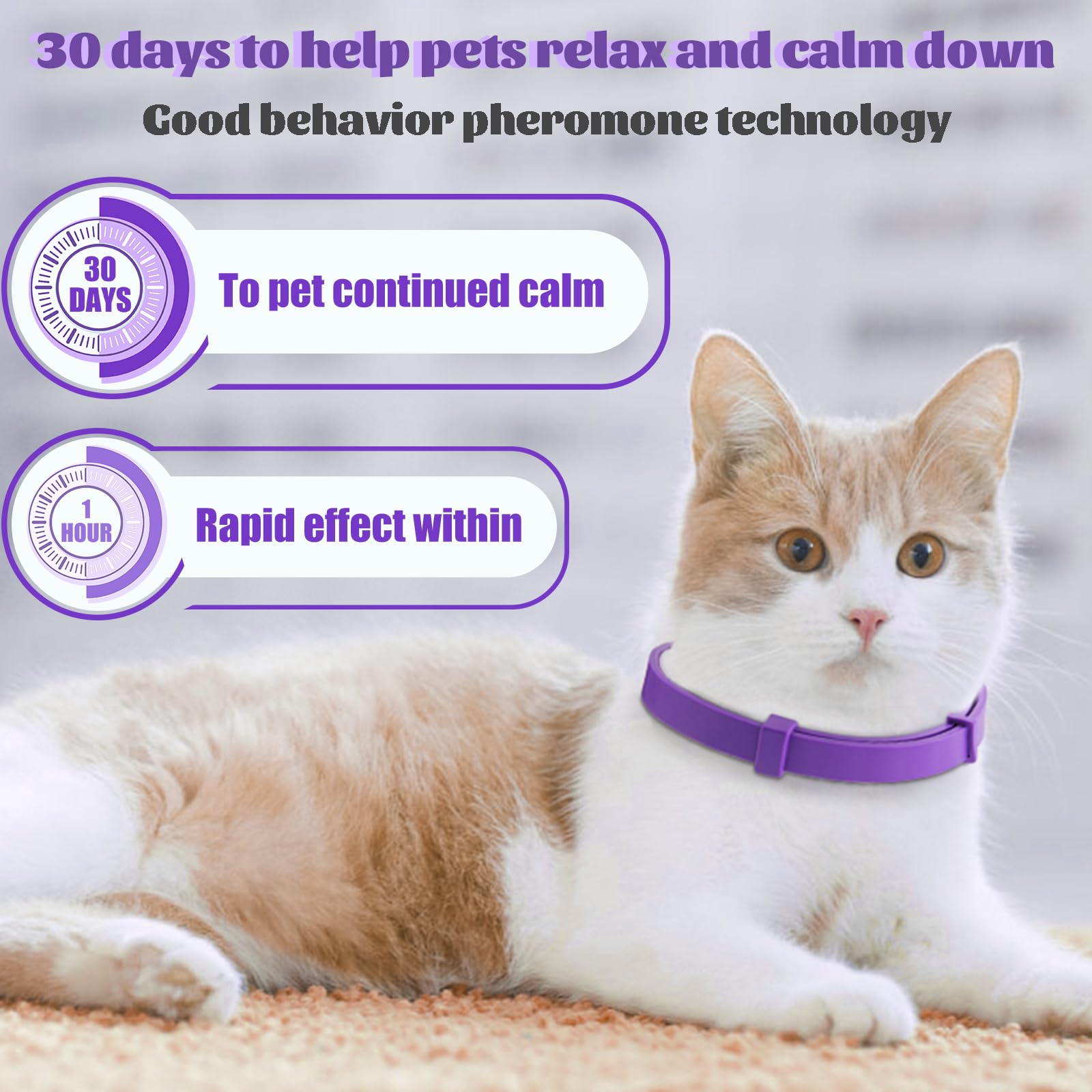 cailenifdc four-pack calm collars shown for ongoing anxiety management in homes.