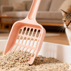 Caiqicome durable plastic scoop resists breakage for long-lasting use