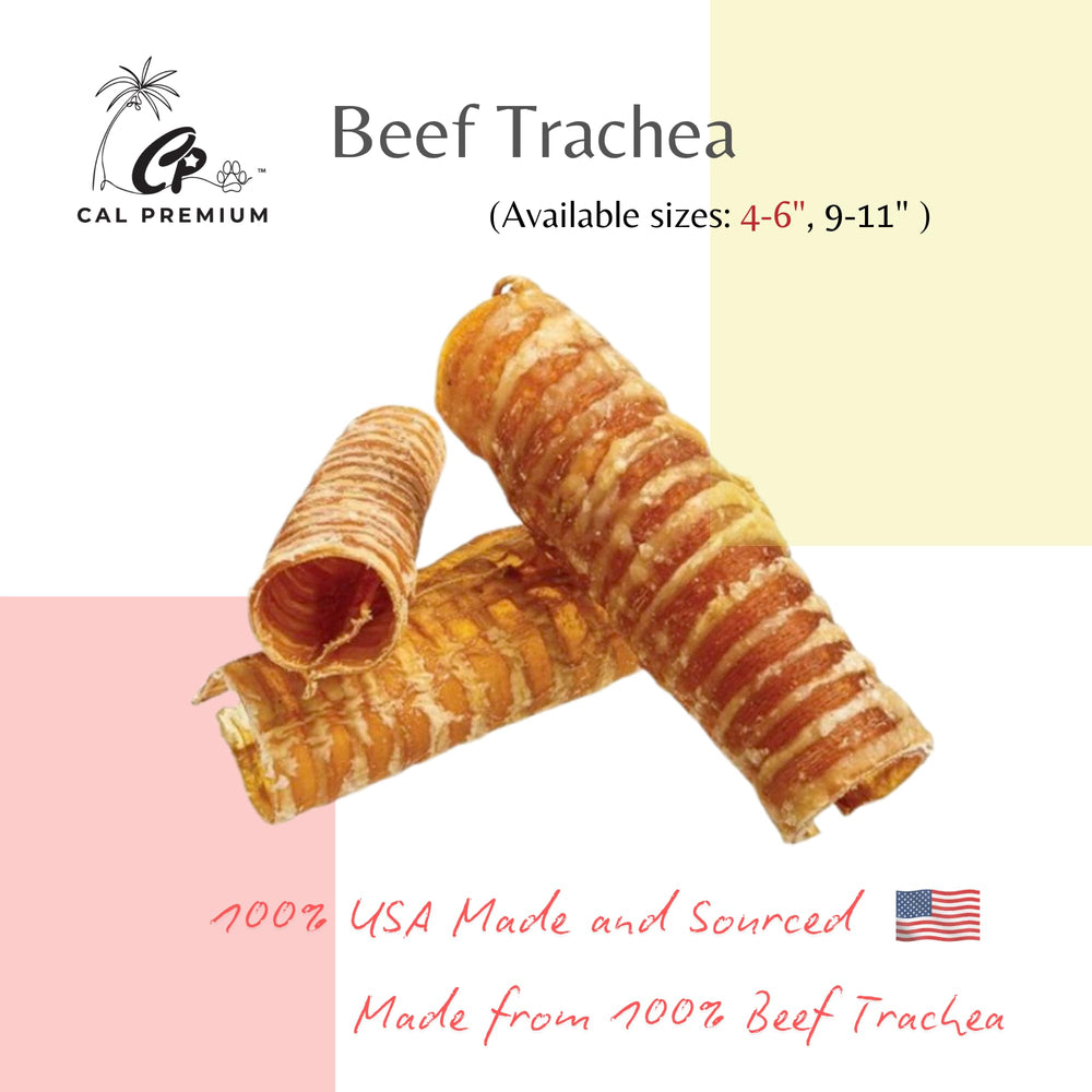 Cal Premium beef trachea close-up showing hollow texture for dental chewing