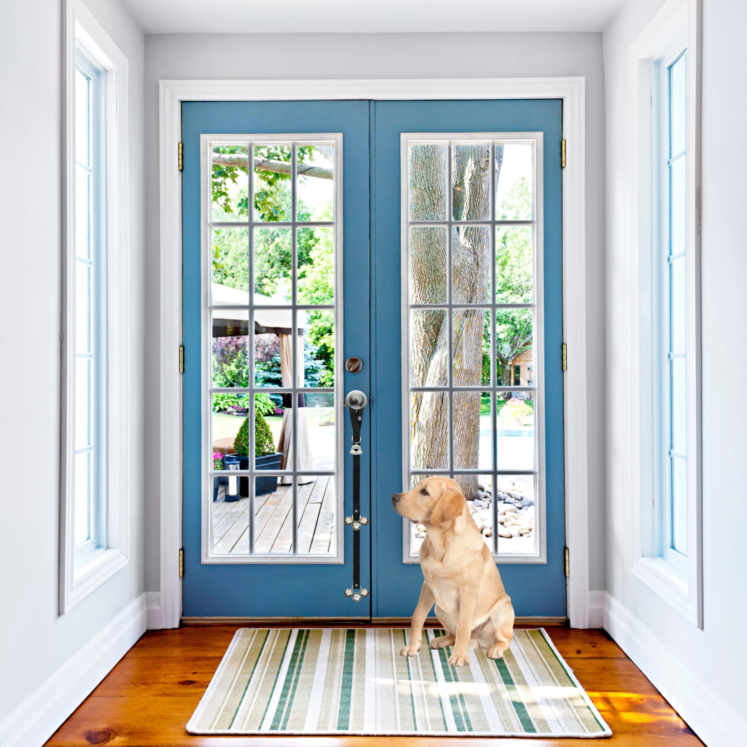 Caldwell's Dog Potty Bells in home-use setup encourages calm, clear cues.