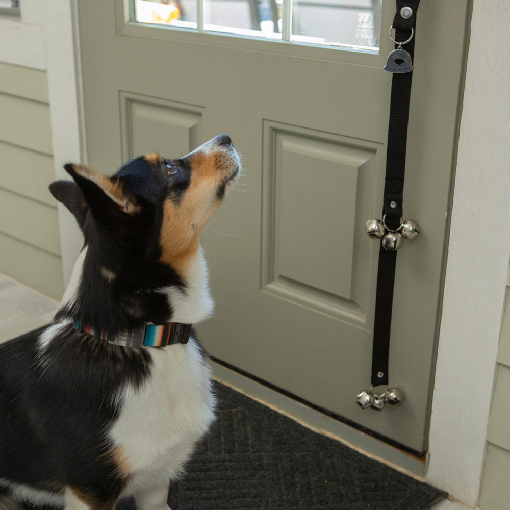 Caldwell's Dog Potty Bells trainer-use scenario supports consistent reinforcement.