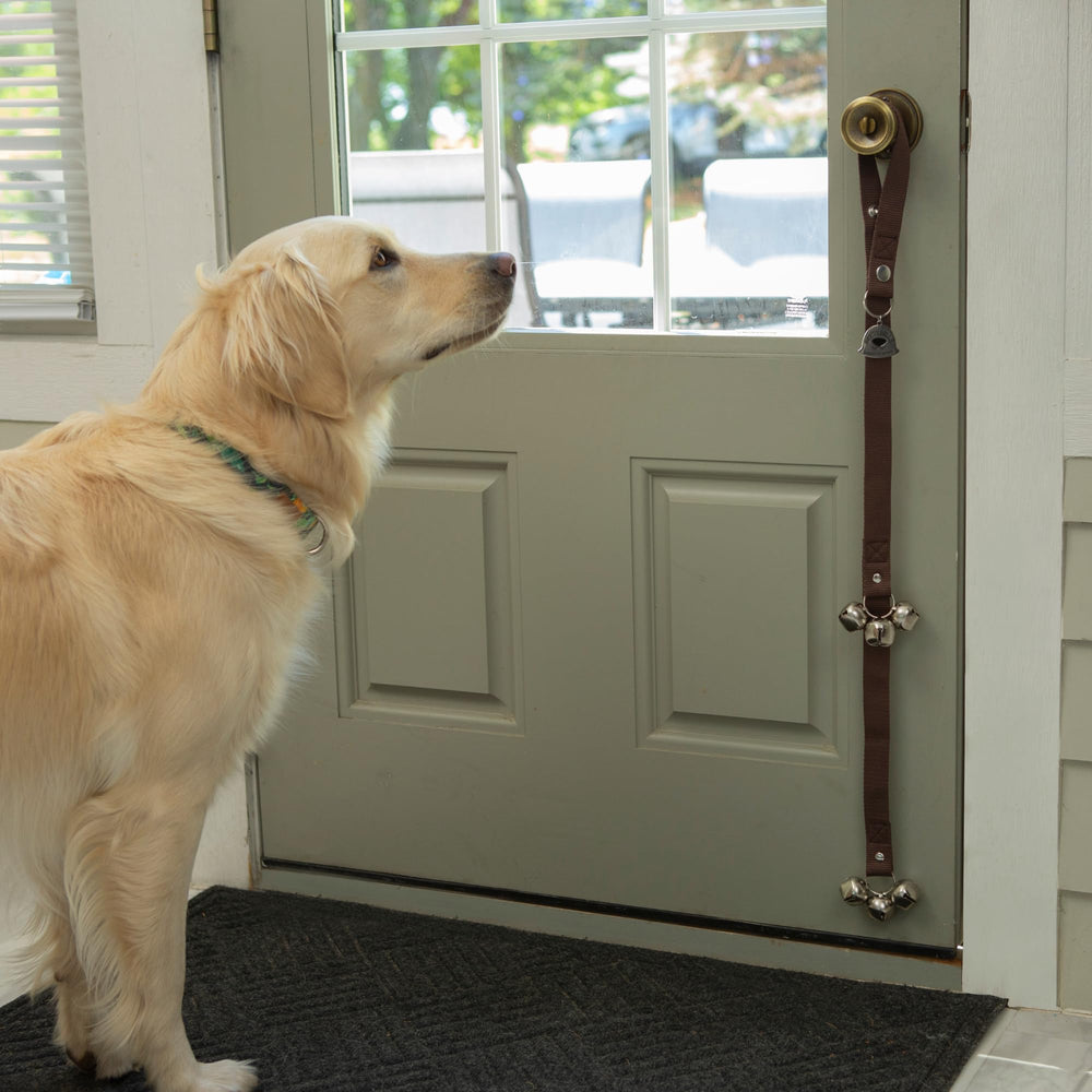Caldwell's Potty Bells training-steps guide image illustrates easy setup and consistent use.