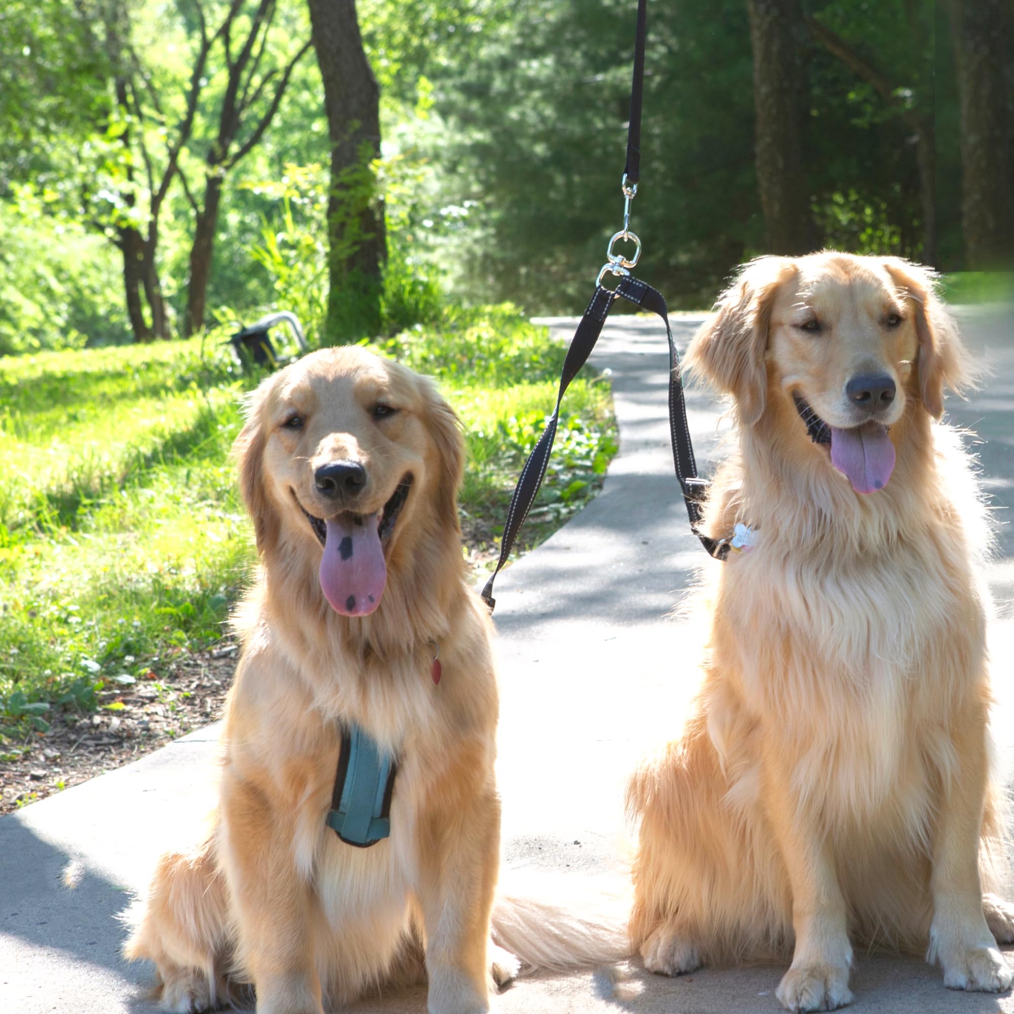 Caldwell's Leash Coupler durable clip emphasizes reliability during hikes or errands.