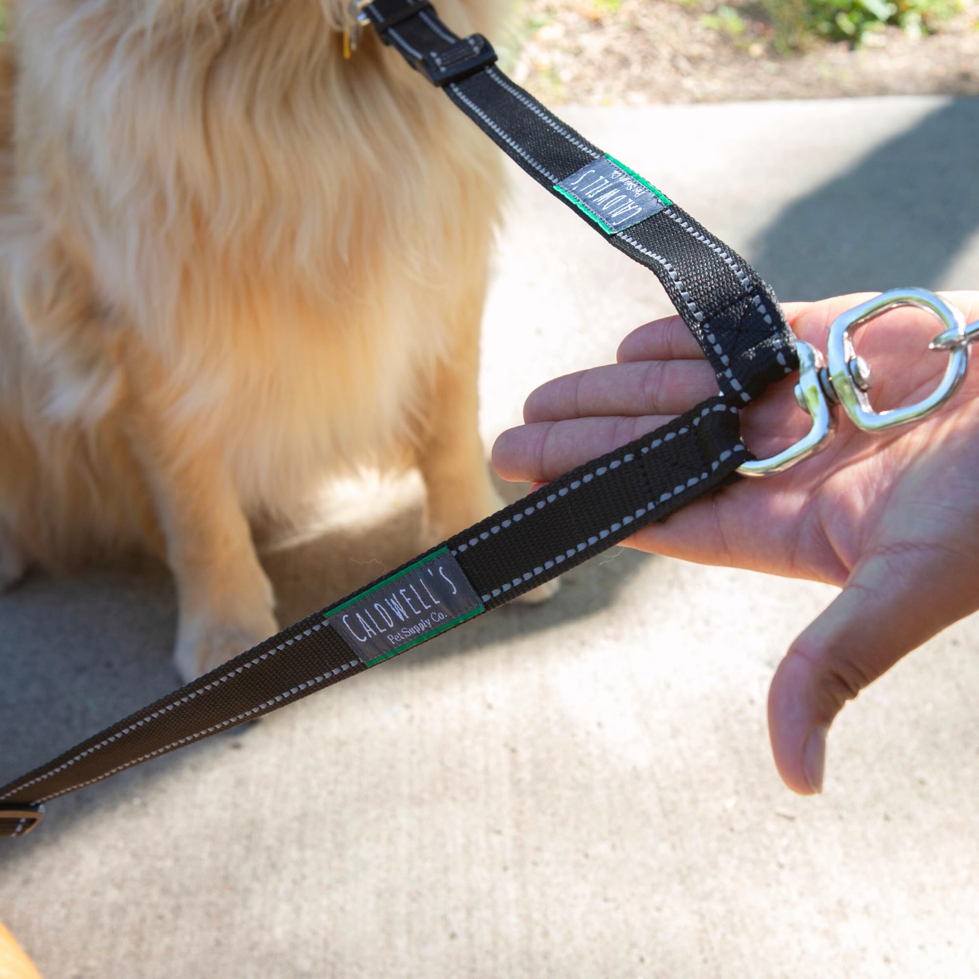 Caldwell's Leash Coupler during hiking shows versatile two-dog control on trails.