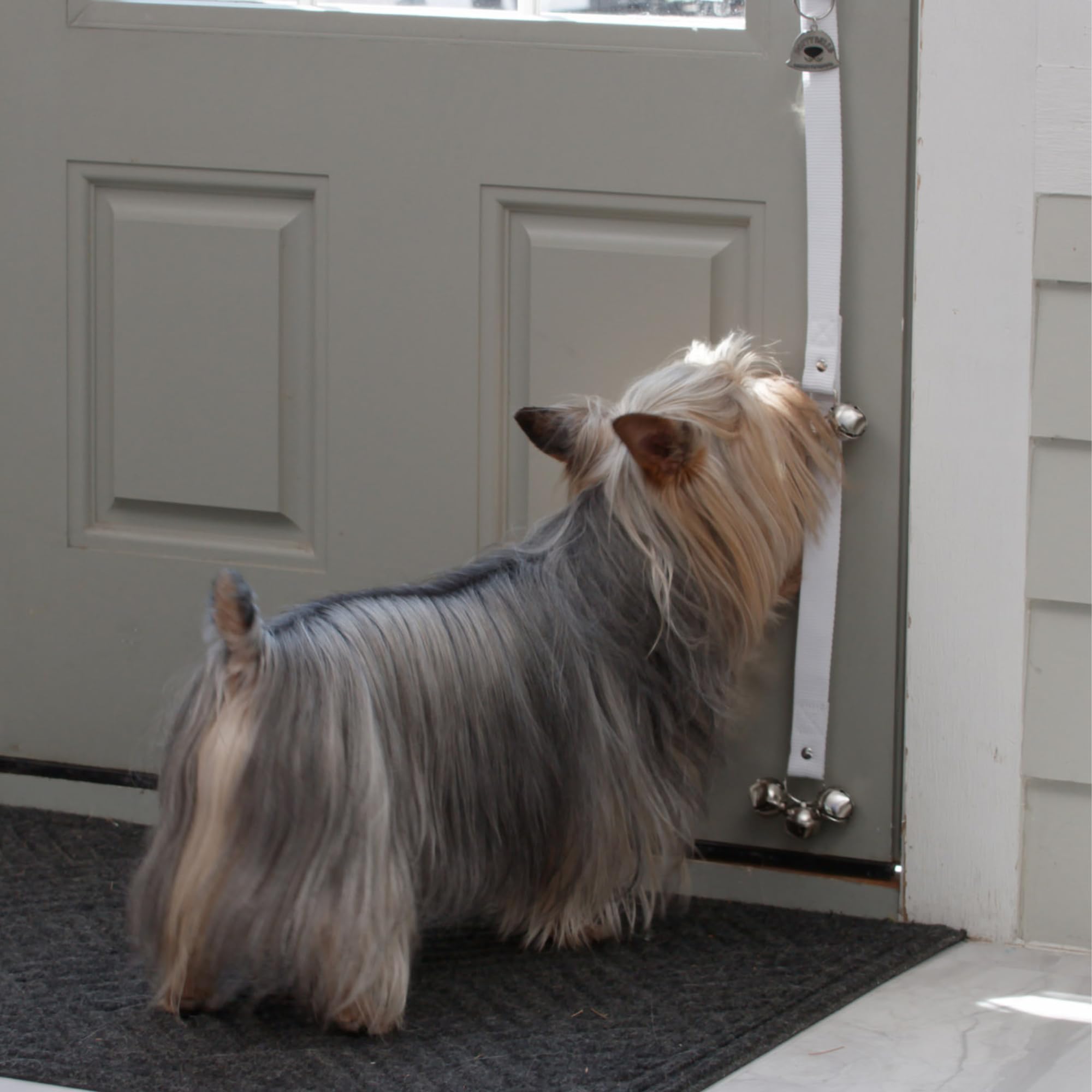 Caldwell's Pet Supply Co. all-breed training bells fit dogs of any size.