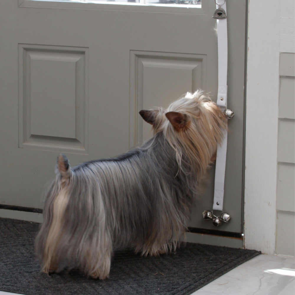 Caldwell's Pet Supply Co. all-breed training bells fit dogs of any size.