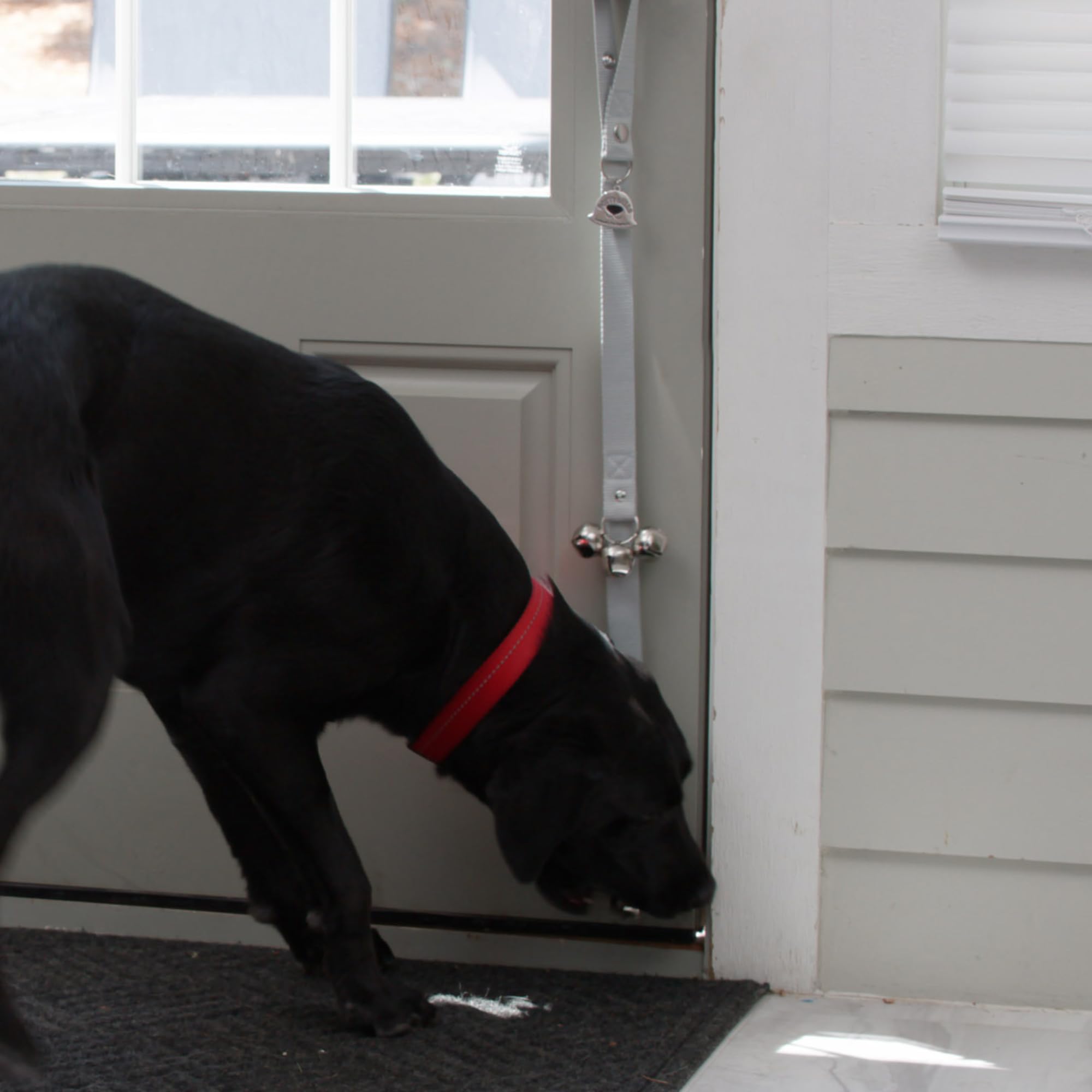 Caldwell's Pet Supply Co. dog-potty-bells-gray-durable-materials emphasizes long-lasting training tools.