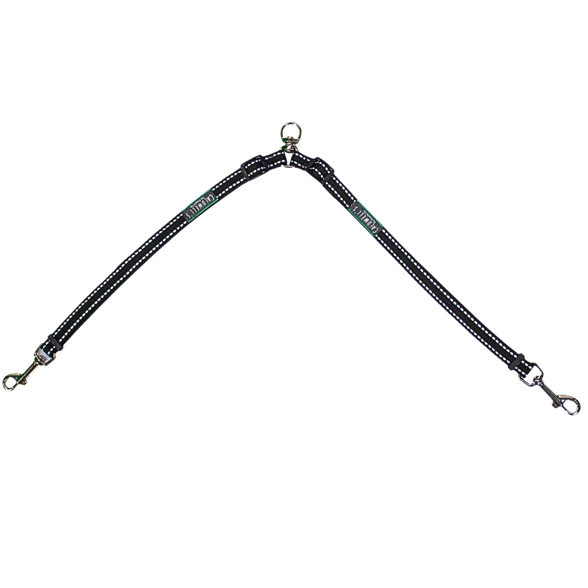Caldwell's Leash Coupler for two dogs during a walk shows easy control