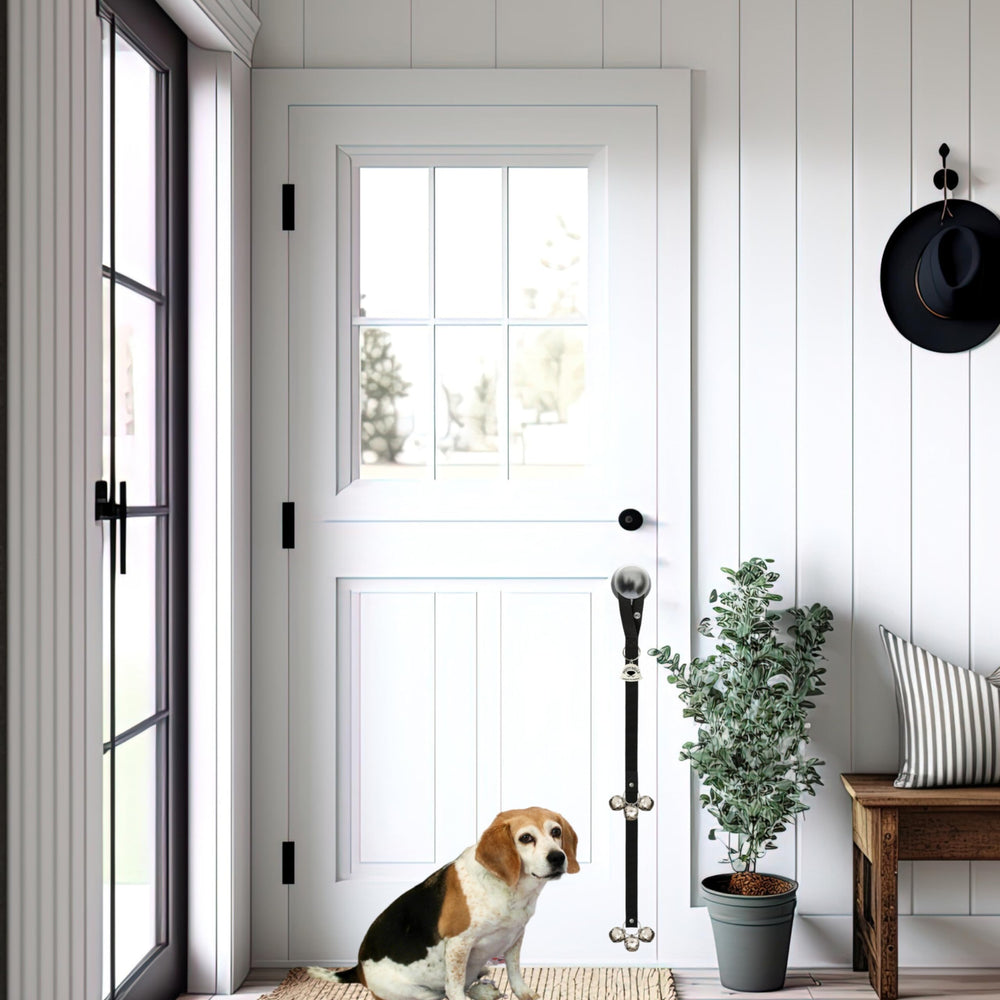 Caldwell's puppy-to-adult training bells in black support ongoing potty training.
