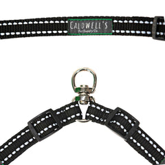 Caldwell's two-dog attachment ready for hiking adventures