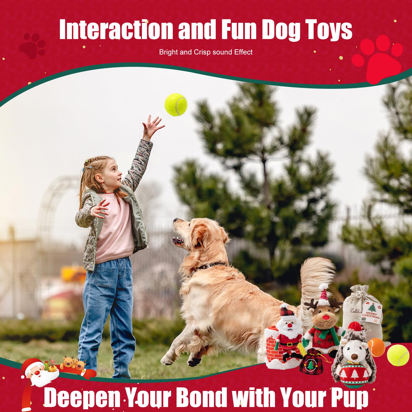 Calibonbon gift bag packaging showcases holiday-ready presentation for gifting dogs